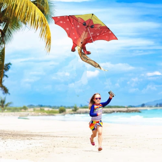Quà đặc biệt dành riêng cho các bé - Diều Khủng Long