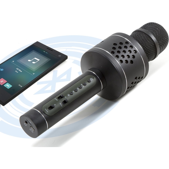 Micro Karaoke cho gia đình từ ĐỨC