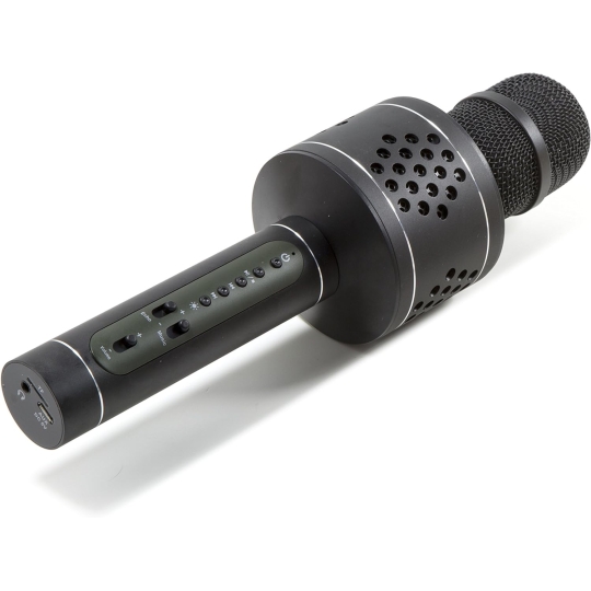 Micro Karaoke cho gia đình từ ĐỨC