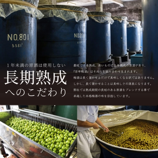 TẾT BÍNH NGỌ 2026 & RƯỢU HIẾM 100 NĂM TỪ NHẬT