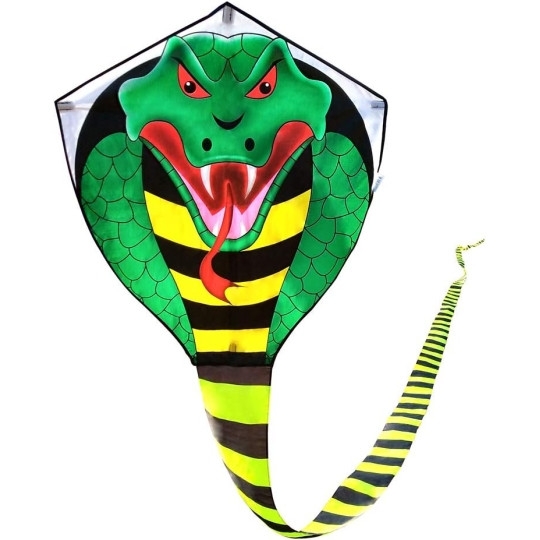 DIỀU RẮN HỔ MANG