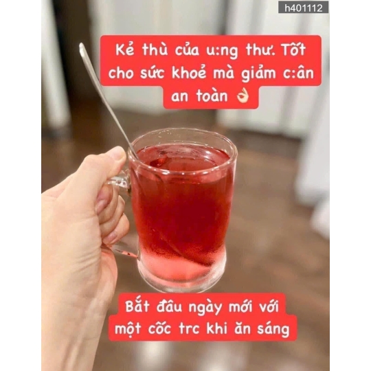 TẾT BÍNH NGỌ 2026 & GIẤM LỰU HỮU CƠ HÀN QUỐC