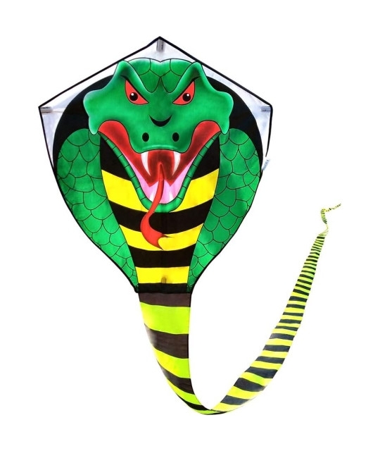 DIỀU RẮN HỔ MANG